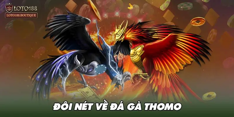 Đôi nét về đá gà Thomo