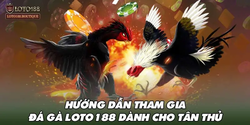 Hướng dẫn tham gia đá gà LOTO188 dành cho tân thủ