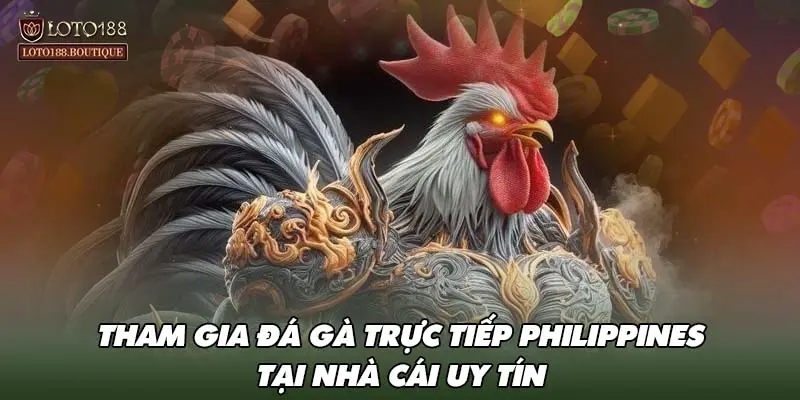 Tham gia đá gà trực tiếp Philippines tại nhà cái uy tín