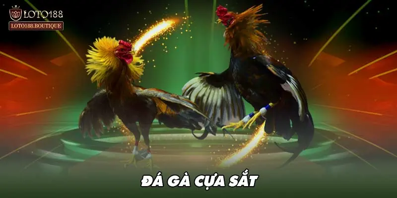 Đá gà cựa sắt