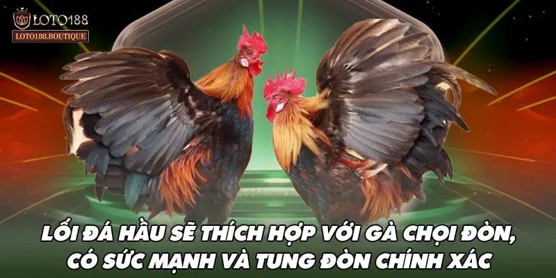 Lối đá hầu sẽ thích hợp với gà chọi đòn, có sức mạnh và tung đòn chính xác.