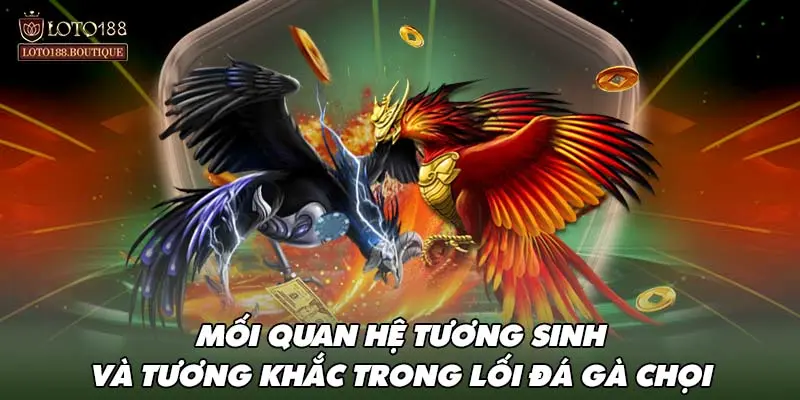 Mối quan hệ tương sinh và tương khắc trong lối đá gà chọi